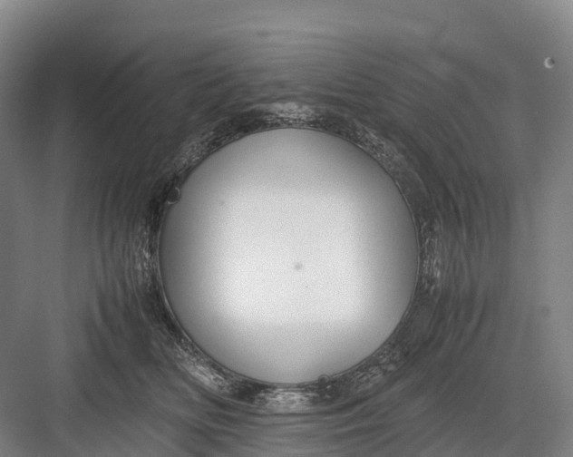 X0000082720518200702161845