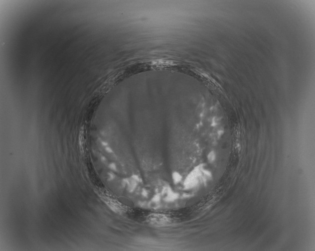 X0000082720519200702161844