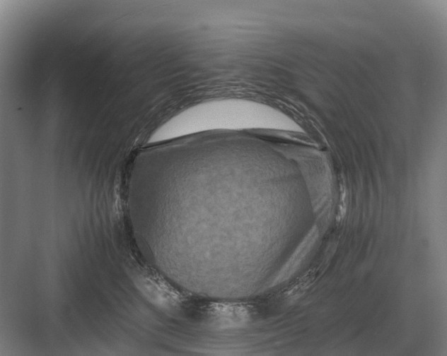 X0000082720520200702161844