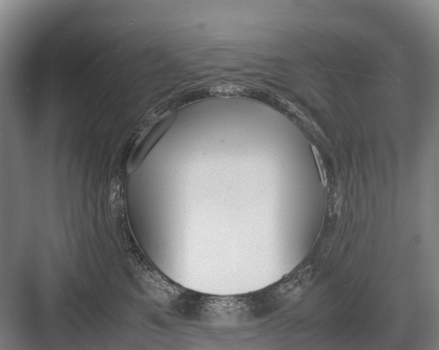 X0000082720521200702161844