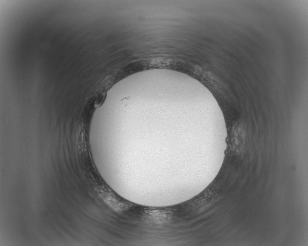 X0000082720522200702161844