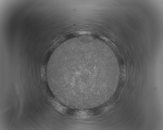 X0000082720523200702161844