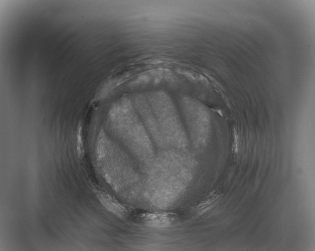 X0000082720524200702161844