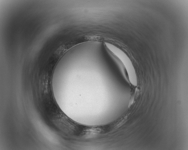 X0000082720525200702161844