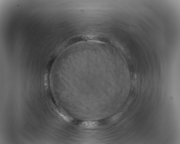 X0000082720526200702161844