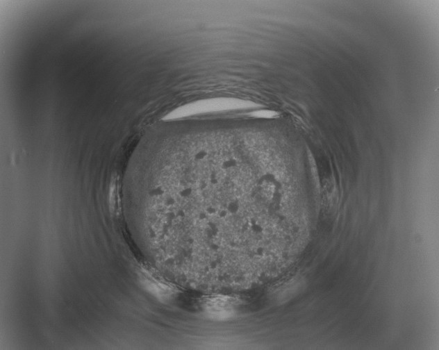 X0000082720527200702161844