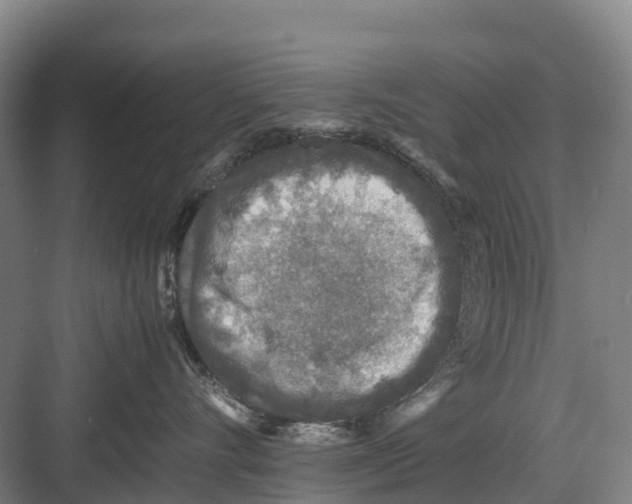 X0000082720528200702161844