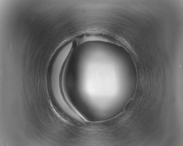 X0000082720530200702161844