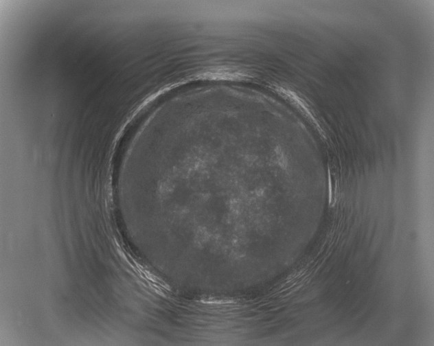 X0000082720531200702161844