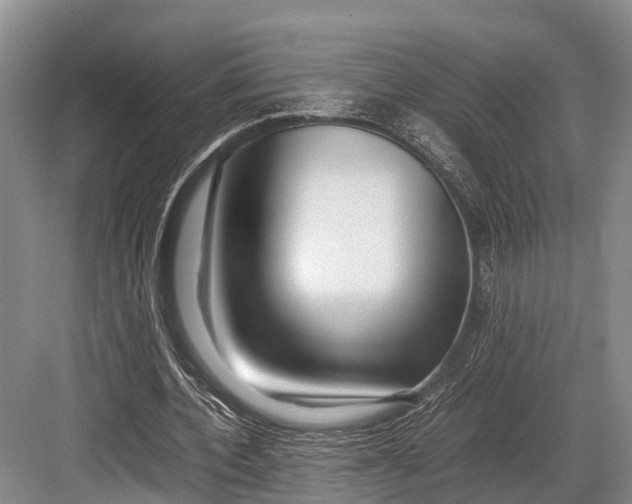 X0000082720532200702161844