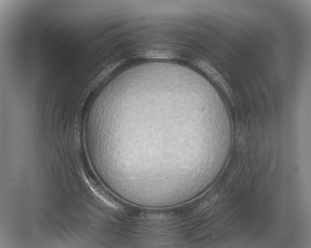 X0000082720533200702161844