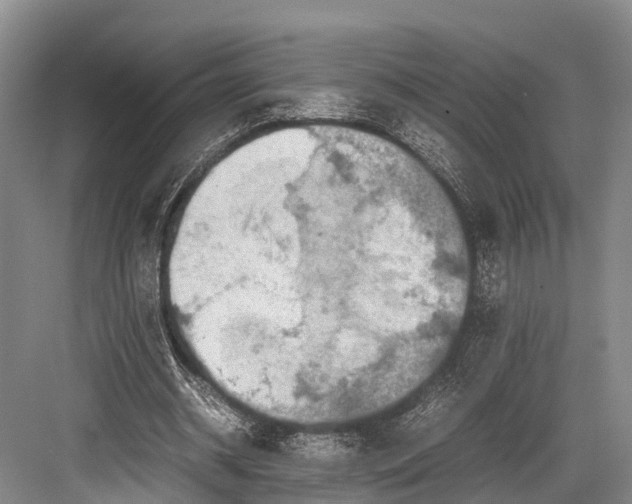 X0000082720534200702161844