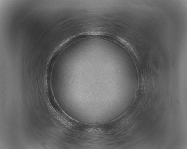 X0000082720535200702161844