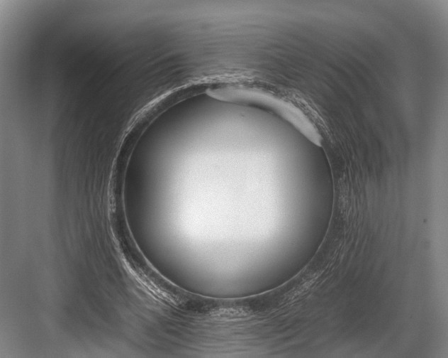 X0000082720536200702161844