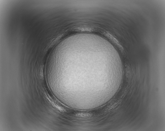 X0000082720537200702161844