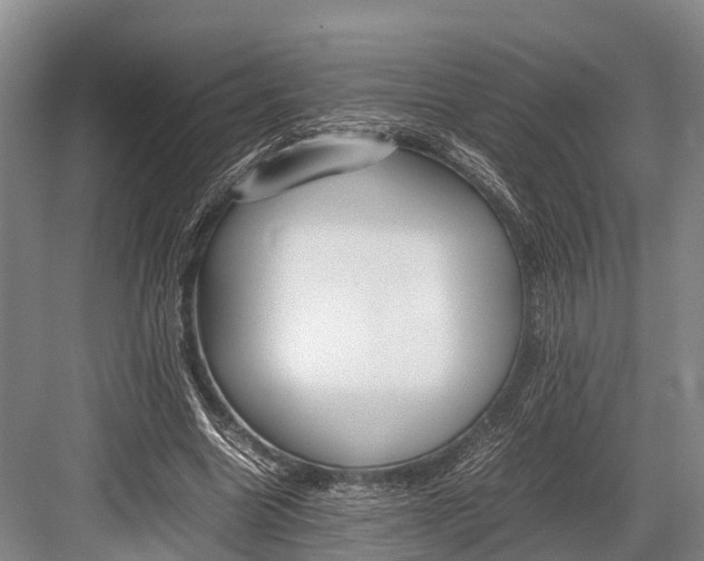 X0000082720538200702161844