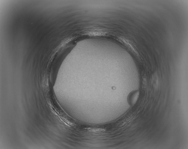 X0000082720539200702161844