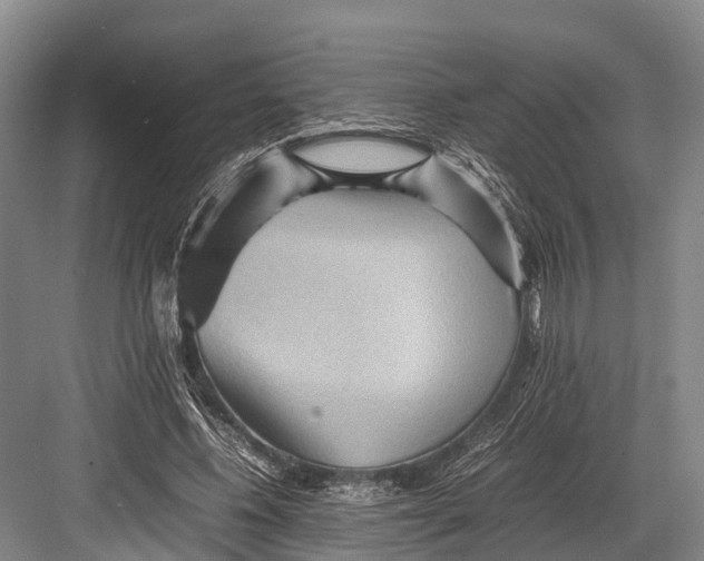 X0000082720540200702161844