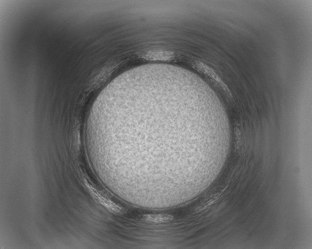 X0000082720541200702161844