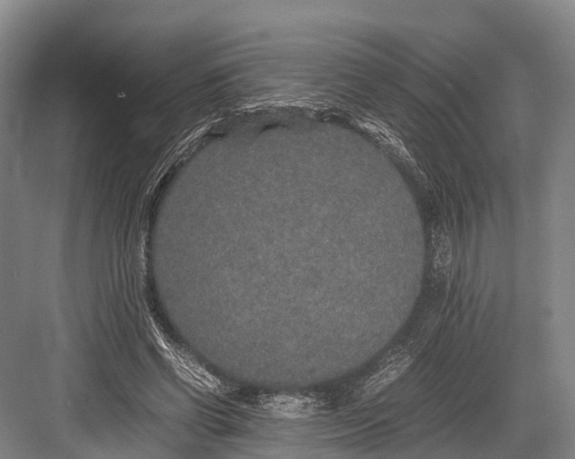 X0000082720542200702161844