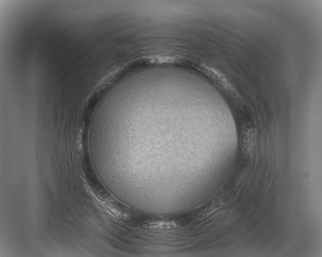 X0000082720543200702161844