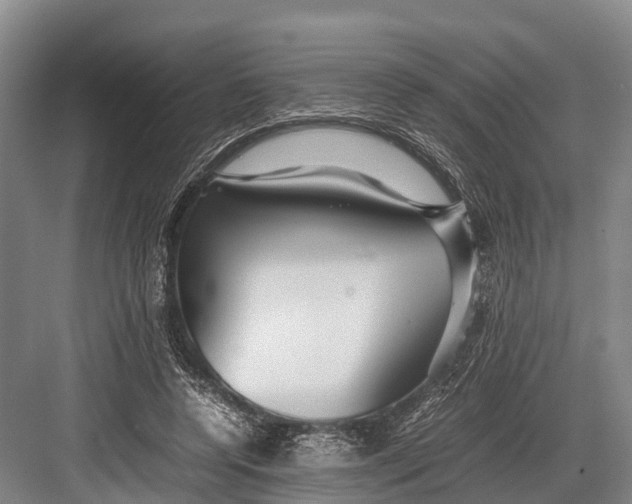 X0000082720544200702161844