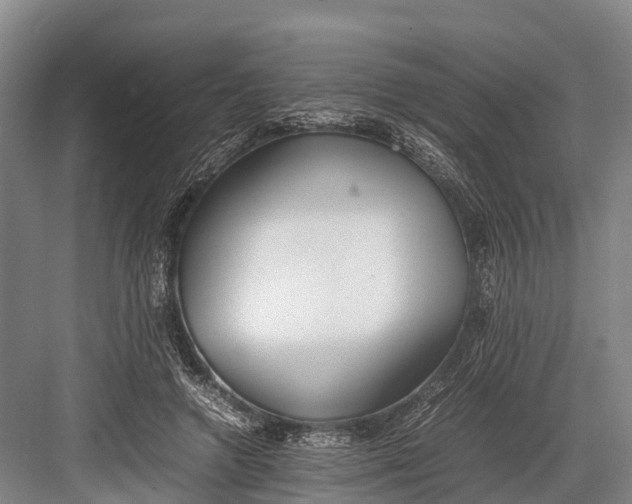 X0000082720546200702161844