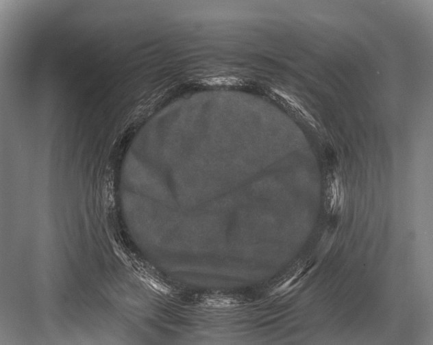 X0000082720547200702161844