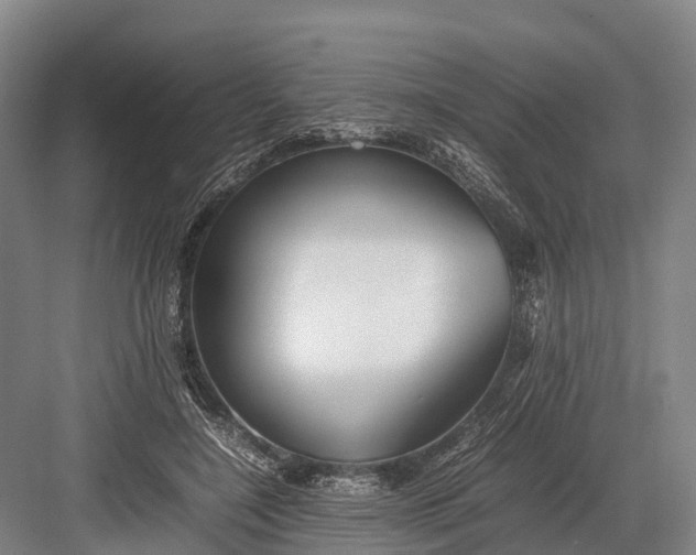 X0000082720548200702161844