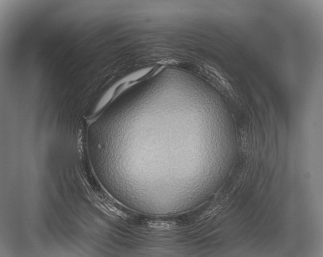 X0000082720549200702161844