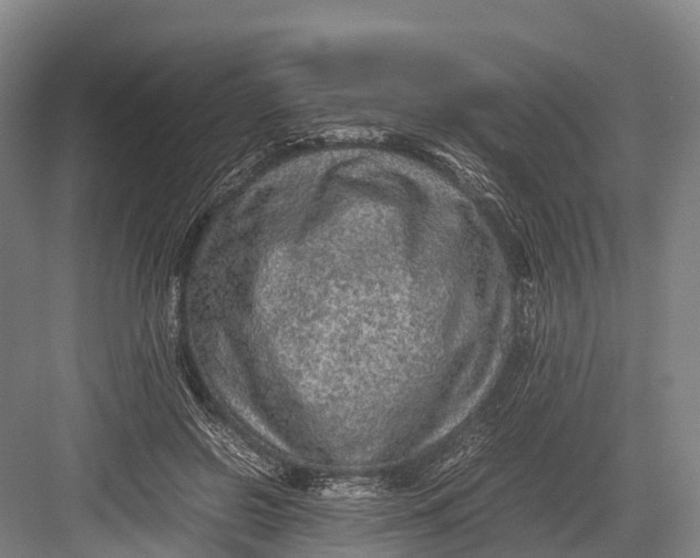 X0000082720550200702161844