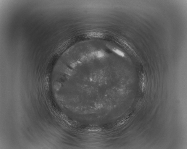 X0000082720551200702161844