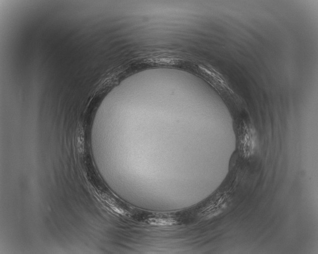 X0000082720552200702161844