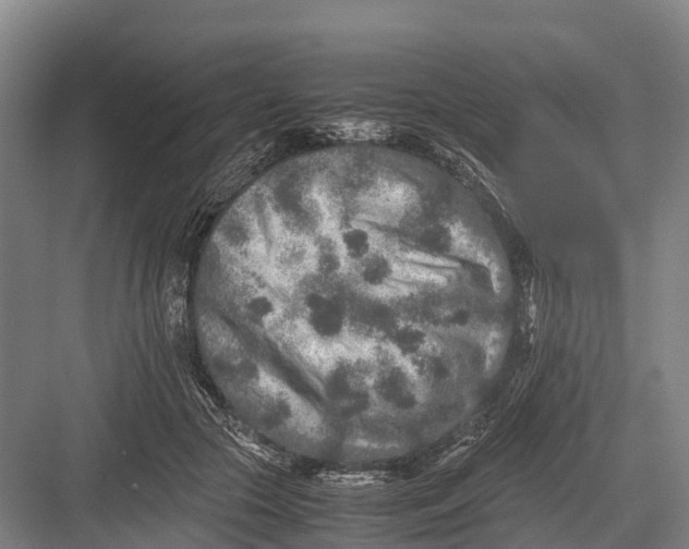 X0000082720553200702161844