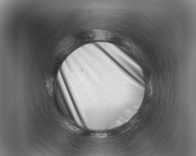 X0000082720554200702161844