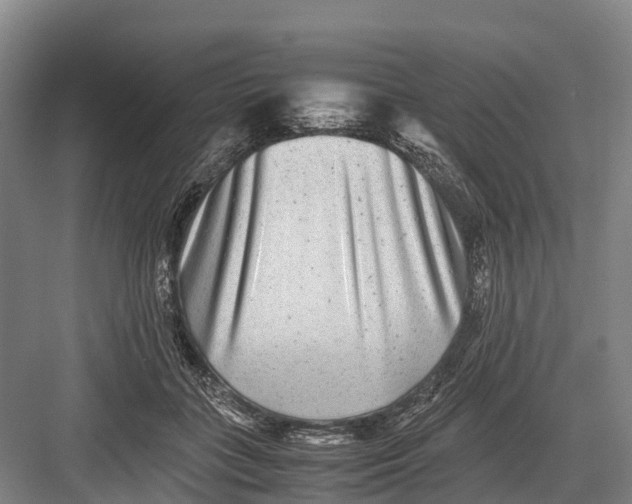 X0000082720555200702161844