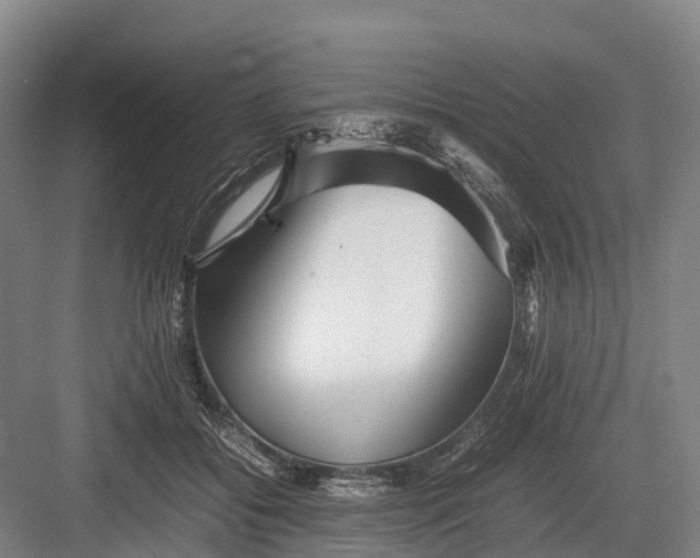 X0000082720556200702161844