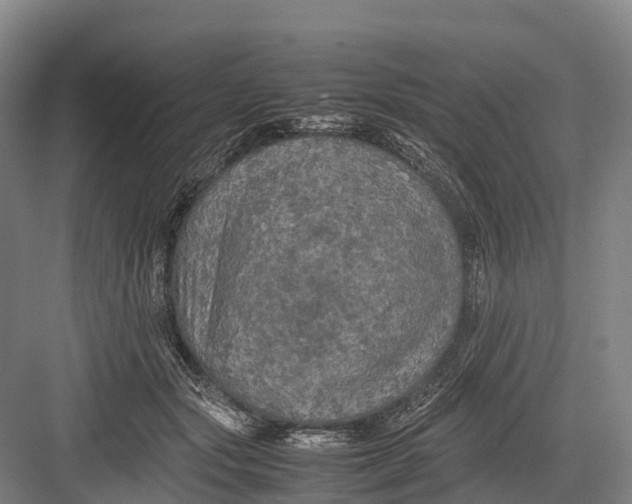 X0000082720557200702161844