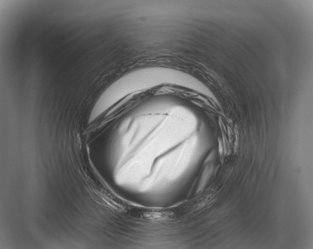 X0000082720558200702161844