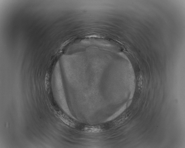 X0000082720559200702161844