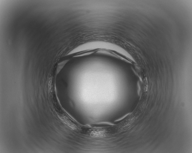 X0000082720560200702161844