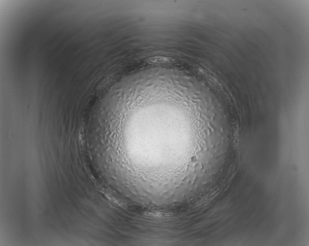 X0000082720561200702161844