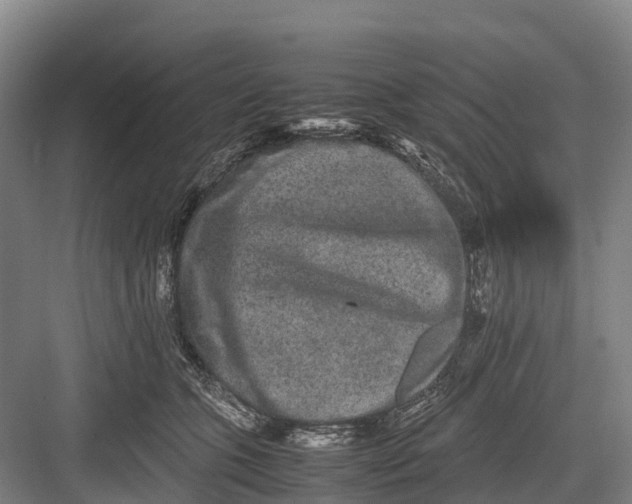 X0000082720563200702161844