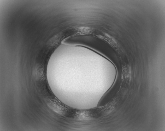 X0000082720564200702161844