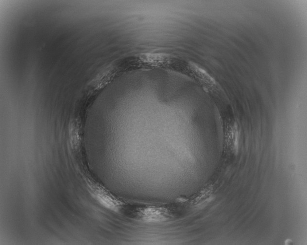 X0000082720566200702161844