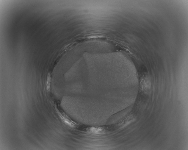 X0000082720570200702161844