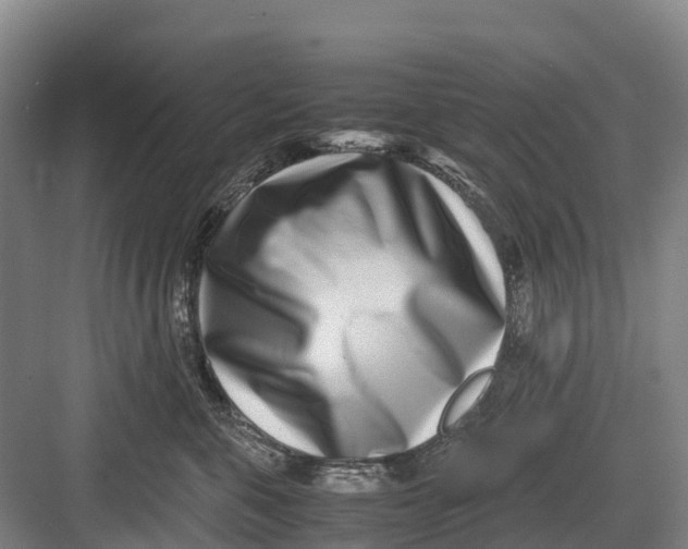 X0000082720571200702161844