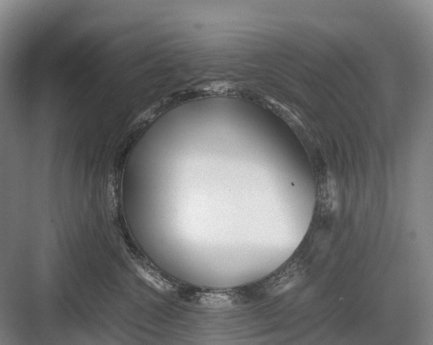 X0000082720572200702161844