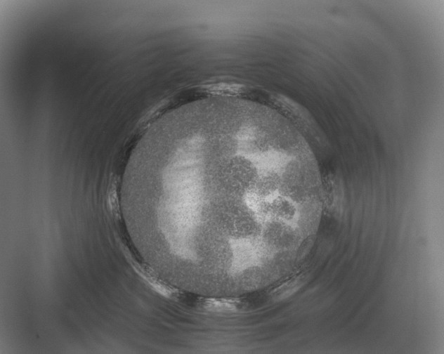 X0000082720573200702161844