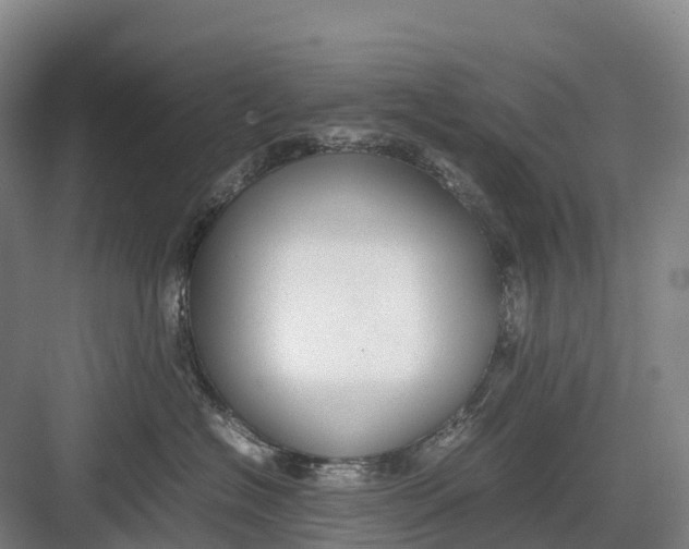 X0000082720574200702161844